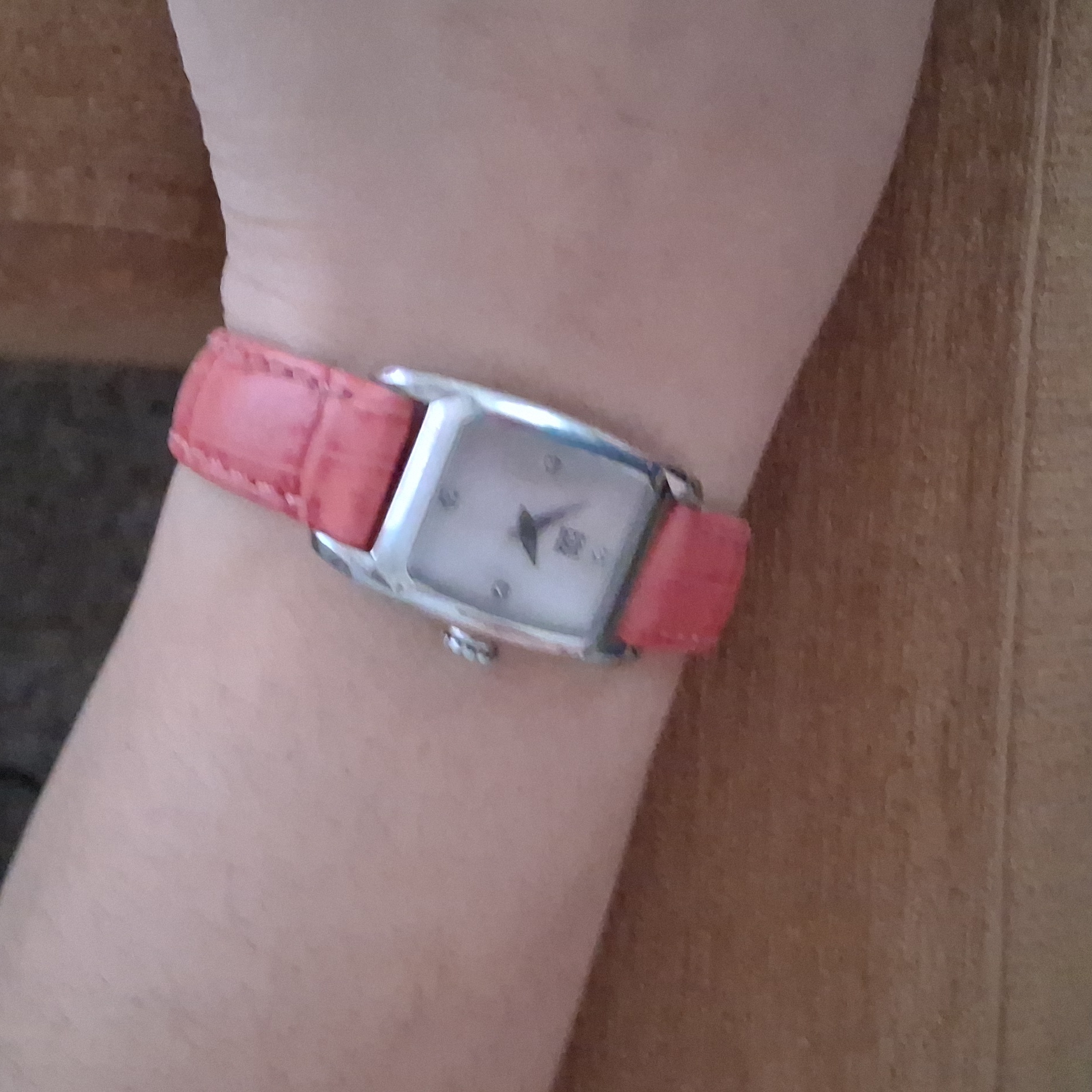 Esq Swiss Watch
